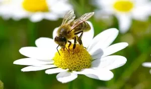 Verve Shutterstock Lifestyle 2016 134